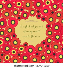 Sunny background for design your invitations. Beautiful red flowers.