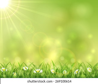 Sunny background with grass and flowers, illustration.