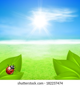 Sunny background with green grass and ladybird. EPS10 vector.