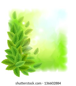 Sunny background with green leaves. Vector illustration.