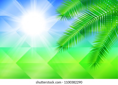 Sunny background with palm. Geometric background.
