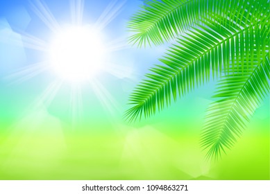 Sunny background with palm leaves