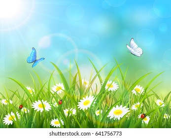 Sunny blue sky background. Butterflies flying above the grass and flowers, illustration.