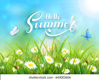 Sunny blue sky background with lettering Hello Summer. Butterflies flying above the grass and flowers, illustration.