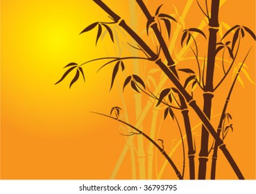 Sunny bright bamboo background