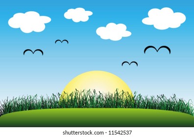 Sunny day