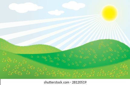 Sunny day