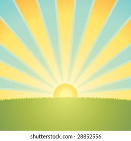 Sunny Day