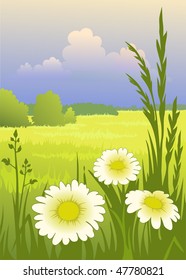Sunny day