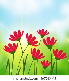Sunny Day background 