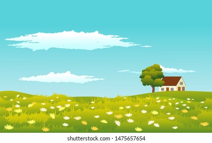 sunny day in countryside with flowery grassland nature landscape 