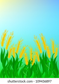 Sunny day in the field with wheat