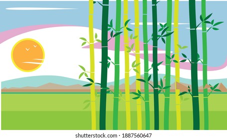 sunny day landscape viewed behind bamboo bush