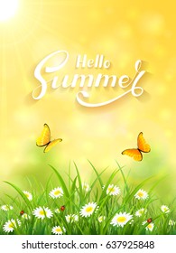 Sunny day and lettering Hello Summer on yellow background, butterflies flying above the grass and flowers, illustration.