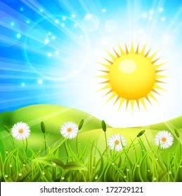 Sunny day on the meadow. Vector illustration.