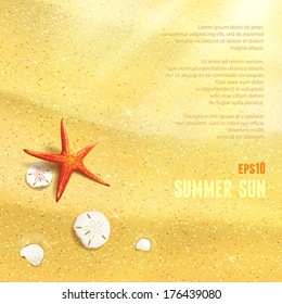 Sunny Dunes with Starfish, Sand Dollars and Seashells. Vector illustration, eps10, editable.