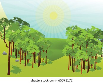 sunny Forest