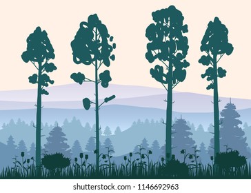 Sunny forest background. Vector illustration of woods in forest in sunlight background. Isolated