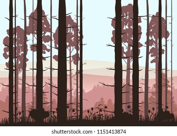 Sunny forest background. Vector illustration of woods in forest in sunlight background. Isolated