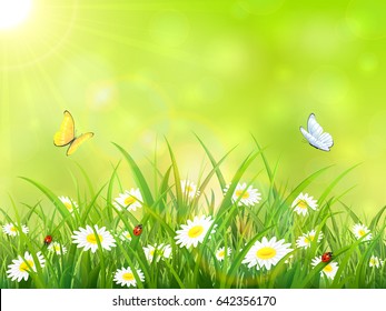 Sunny green background. Butterflies flying above the grass and flowers, illustration.