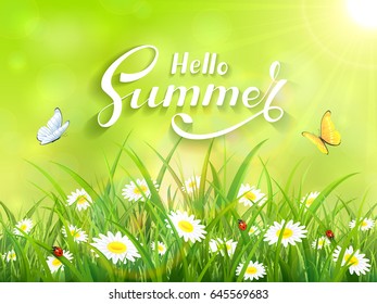 Sunny green background with lettering Hello Summer. Butterflies flying above the grass and flowers, illustration.