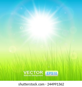 Fondo natural verde soleado, ilustración vectorial.