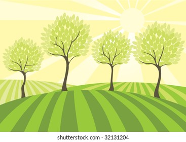 sunny landscape