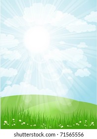Sunny landscape