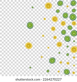 Sunny Lemon Background Transparent Vector. Group Illustration. Yellow Lime Group. Fly Fruit Greenish Pattern.