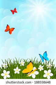 Sunny meadow with color butterflies