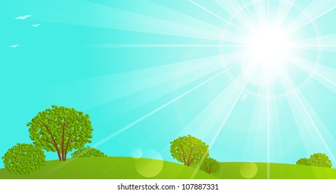Sunny meadow with green trees