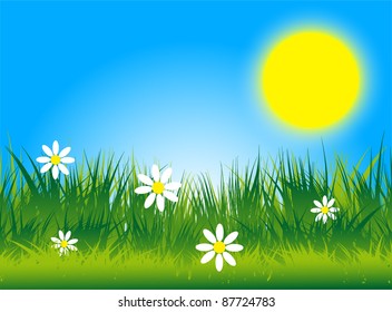 A sunny meadow vector image