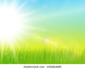 Sunny natural background, summer sunny green vector illustration.