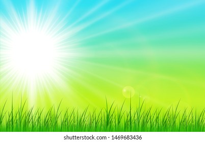 Sunny natural background, summer sunny green vector illustration.