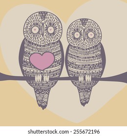 sunny owls