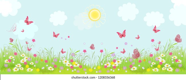 sunny panorama with flowering meadow flowers