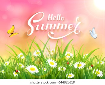 Sunny pink background with lettering Hello Summer. Butterflies flying above the grass and flowers, illustration.