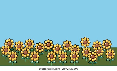 Sunny pixel sunflower garden with blue clear sky colour background
