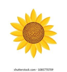 Sunny plant icon. Flat illustration of Sunny plant vector icon for web