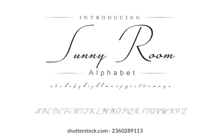Sunny Room Font. Alphabet. Script. Typeface. Label .Vintage typeface. For labels and different type designs