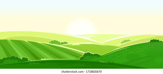 Sunny rural landscape. Vector. Green grassy hills, farm fields, meadows and pastures. Bright summer sun, controside panorama. Viev.