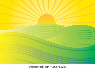 Sunny rural landscape. Vector. Green grassy hills, farm fields, meadows and pastures. Bright summer sun