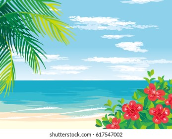 Sunny sandy beach during the day with palm trees and hibiscus