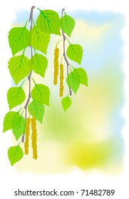 Sunny spring background with birch branches. Vector illustration.
