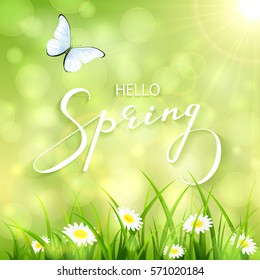 Sunny spring background with a butterfly flying above the grass and flowers, lettering Spring with bokeh light and sun beams, illustration.