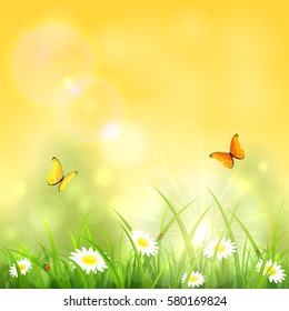 Sunny spring or summer day, two butterflies flying above the grass with flowers and ladybugs, illustration.
