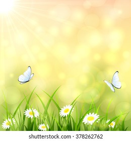 Sunny summer background with a butterfly flying above the grass and flowers, bokeh light and sun beams, illustration.