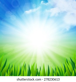 Sunny summer background with clouds and grass, vector illustration