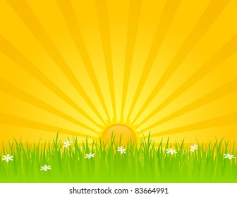 Sunny summer day with grass and daisies. EPS 8 RGB with global colors vector illustration.