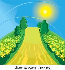 Sunny summer day, gravel road in the middle of the fields with yellow flowers